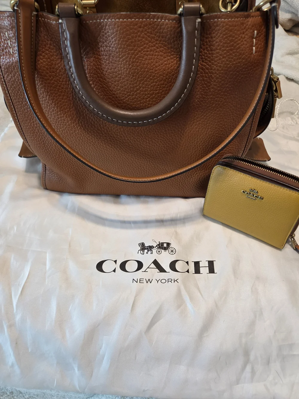 Coach 1941 rogue
